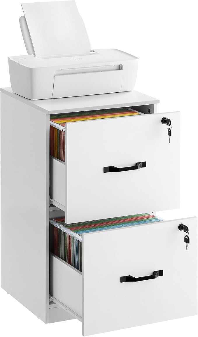 VASAGLE 2 Drawers File Cabinet by VASAGLEbySONGMICSHOME