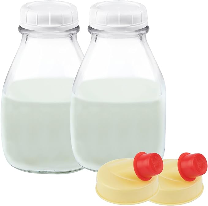kitchentoolz 16 Oz Glass Milk Bottle by KITCHENTOOLZ