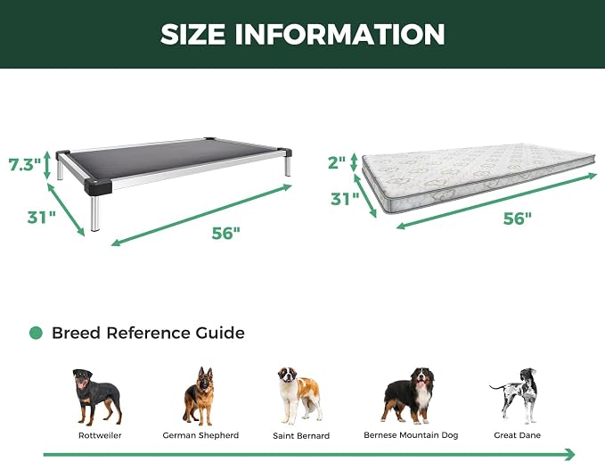 FXW TitanNest Chew-Proof Elevated Dog Bed, Raised Cot - Image 6