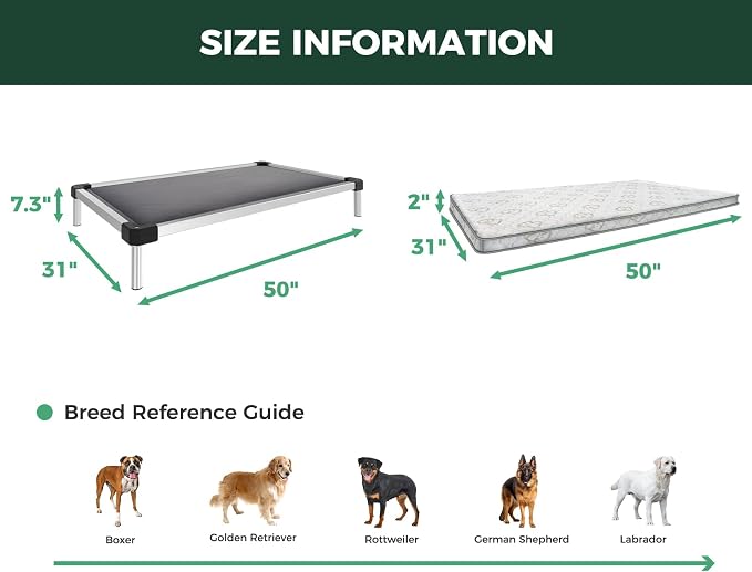 FXW TitanNest Chew-Proof Elevated Dog Bed, Raised Cot - Image 6