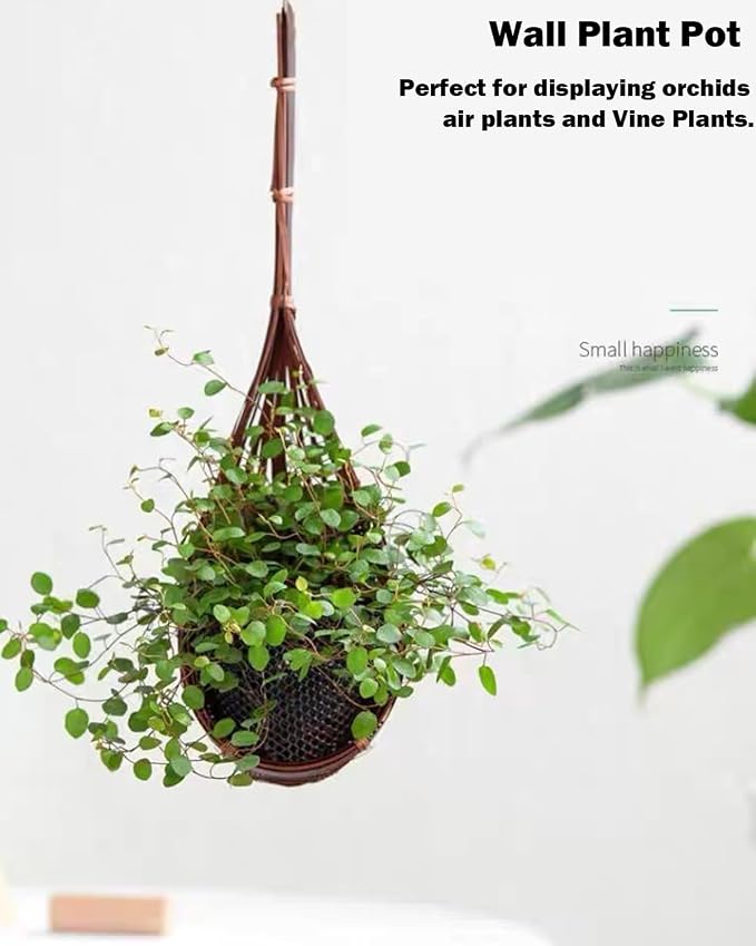 Hanging Orchid Planter: 4 Inch Handmade Bamboo Flower Basket -5Pcs | Wall Plant - Image 3