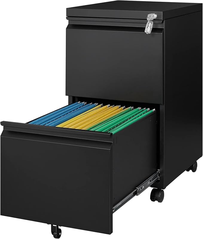 2 Drawer Metal File Cabinet by LISSIMO