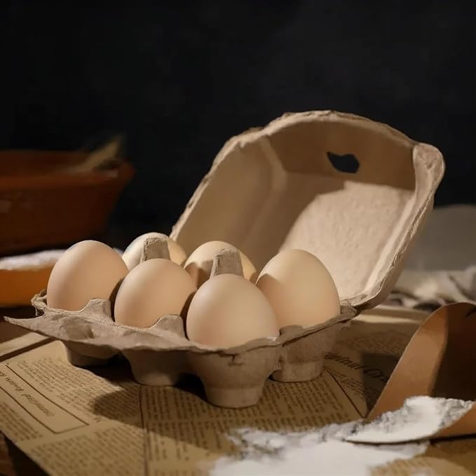 50 Pack Egg Cartons Cheap Bulk, Blank Natural Pulp Egg Carton 6 Count - Image 7