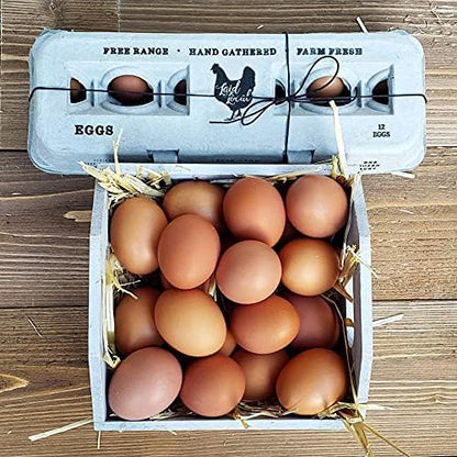 25 Egg Cartons- Adorable Printed Vintage Design - Image 8