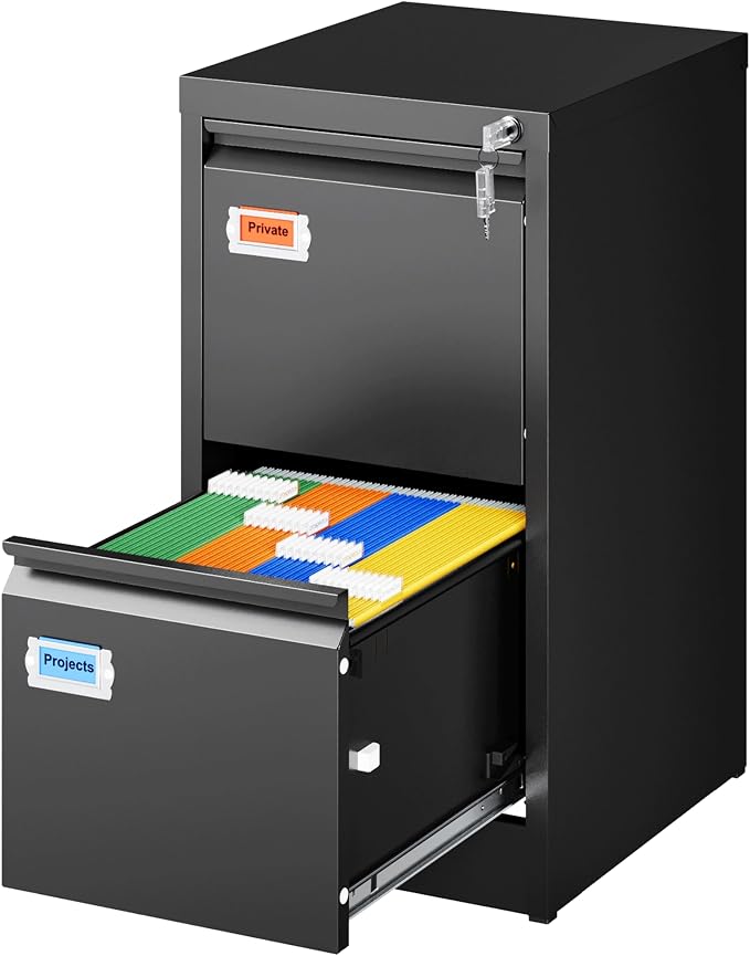 2-Drawer File Cabinet, 16.3" Deep Vertical Metal Filing Cabinet by PEUKC