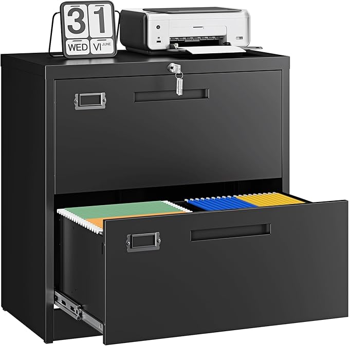 Letaya 2 Drawer File Cabinet by LetayaMetalCabinets
