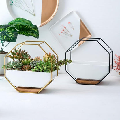 Hemoton Octagonal Geometric Wall Hanging Flower Pot Set - Image 4