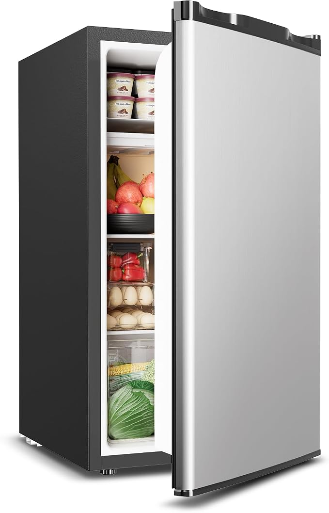 Mini Fridge with Freezer by Feelfunn