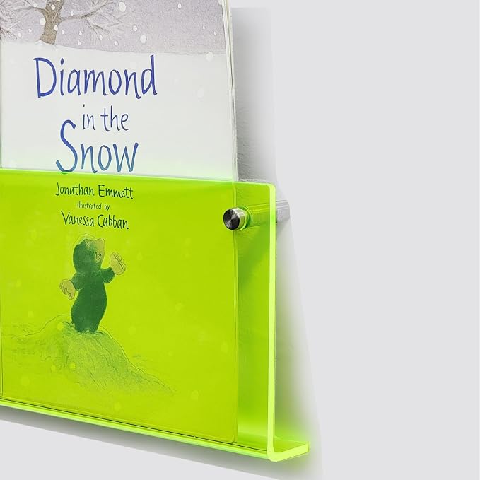 ROYALITA 2-Pack Acrylic Magazine Holder Brochure Holder, Fashion Hanging by ROYALITA