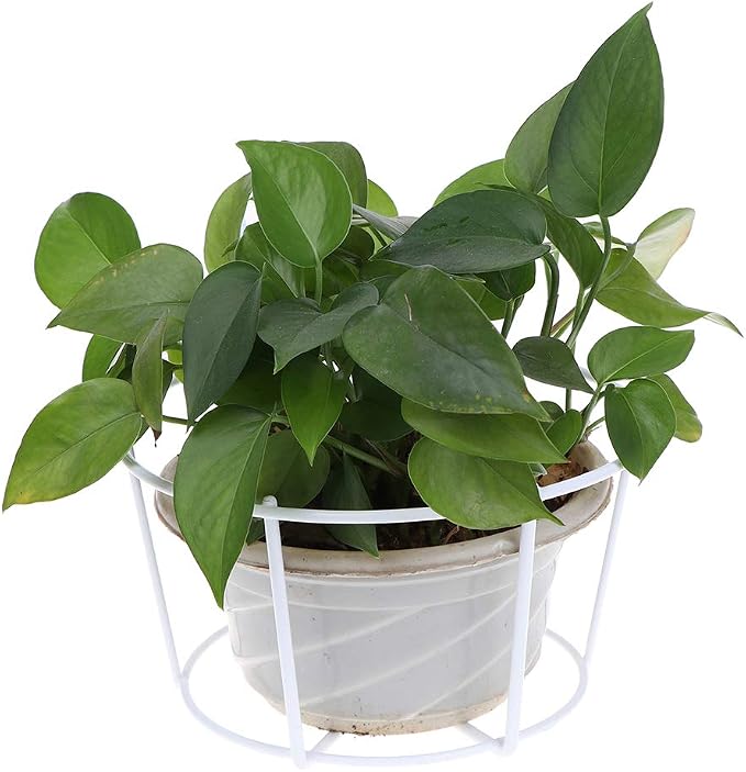 4 Pack Hanging Planters for Railings Rail Planter Hanging Baskets Flower Pot - Image 9