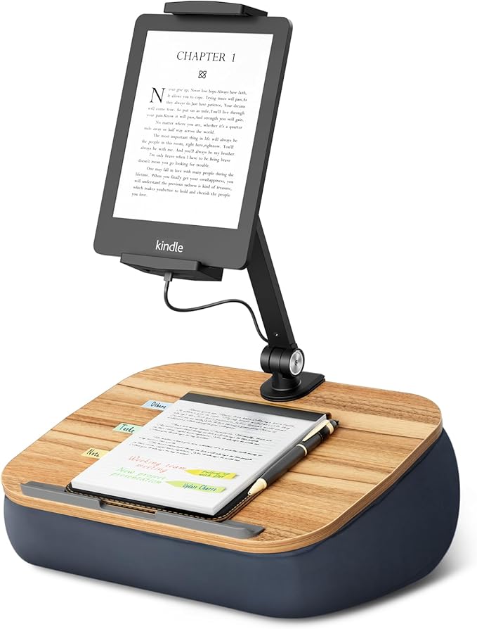 Lap Beanbag Cozy Kindle Pillow Stand by ERGONOV