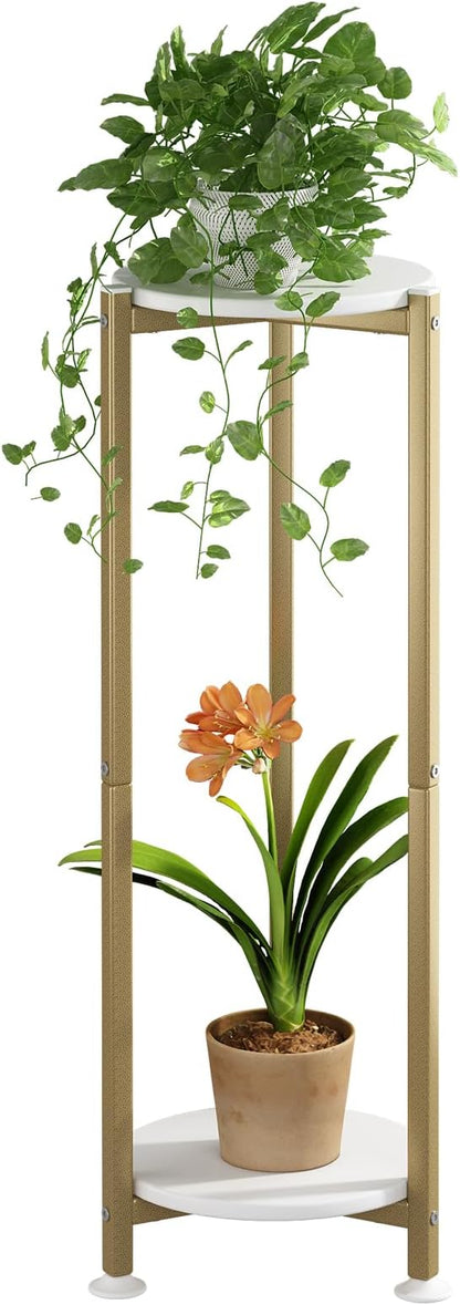 Plant Stand Indoor Corner Tall 2 Tier Metal Modern Flower Storage Plant Shelf by YIZAIJIA