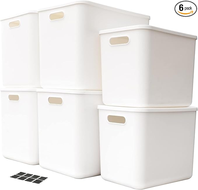 Set Of 6 Plastic Storage Bins, Versatile Kitchen Pantry Organization and Storage by Amyup