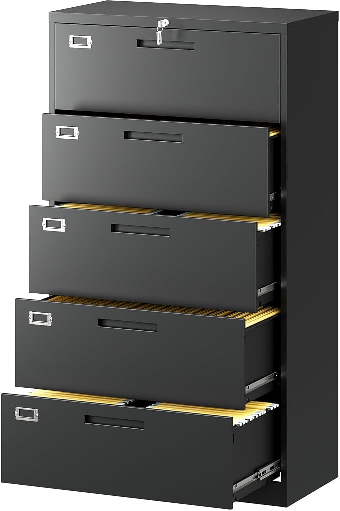 Lateral File Cabinet with 5 Drawers by Fesbos
