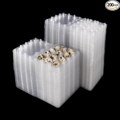 200 Pack Quail Egg Cartons, Holds up to 12 Quail Eggs Securely by KUKLIPJIM