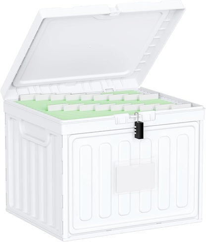 Oterri Plastic File Box with Lid by Oterri
