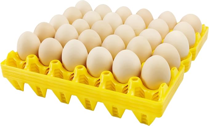 4-Pack Plastic Egg Tray Egg Crates 30-Egg Flats by George+Garden