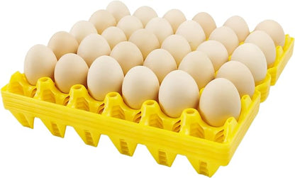 4-Pack Plastic Egg Tray Egg Crates 30-Egg Flats by George+Garden