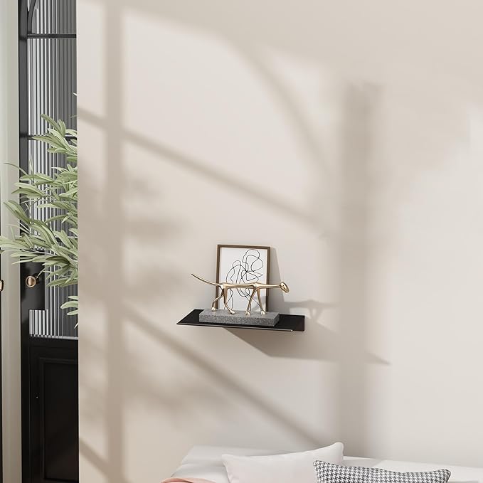Danpoo 8 inch Small Floating Shelf - Image 2