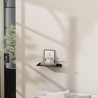 Danpoo 8 inch Small Floating Shelf - Image 2