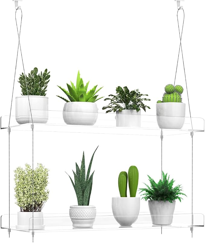 2-Tier Hanging Clear Plant Shelves by ZerzSemp