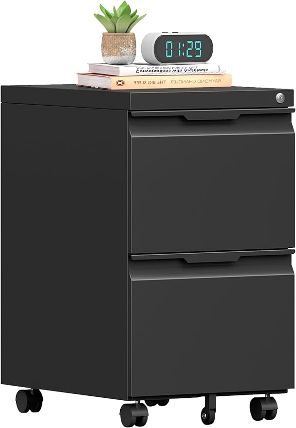 2 Drawer Mobile File Cabinet by Yoonkool
