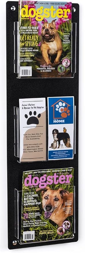 Displays2go Tiered Magazine Holder by Displays2go