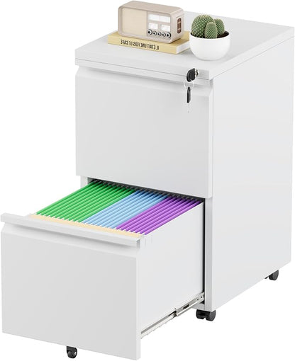 Greenvelly 2 Drawer Mobile File Cabinet by Greenvelly