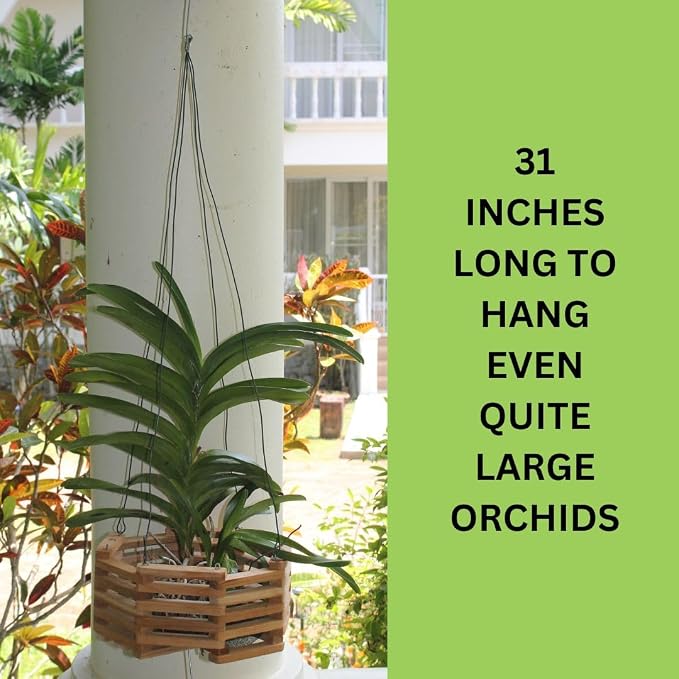Set of 12 Hanging Wires for Orchid Baskets and Hanging Planters, 31 Inches Long - Image 5