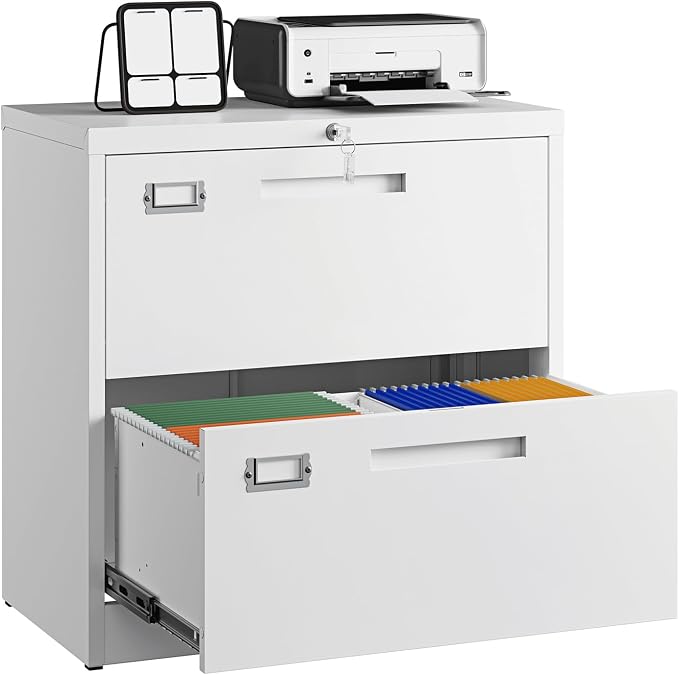 Letaya 2 Drawer File Cabinet by LetayaMetalCabinets