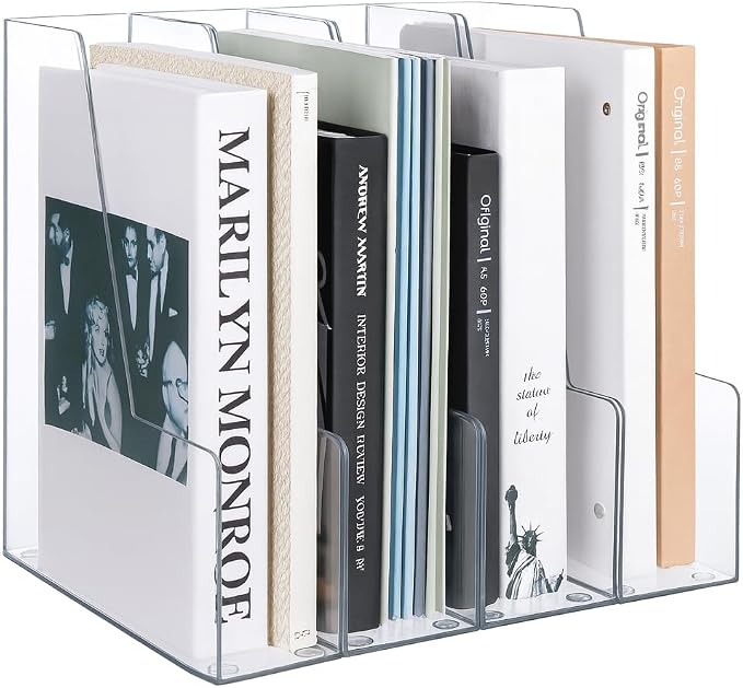 LALOBLUE Vertical Magazine File Holder, 4 Pack | Plastic, Holds Magazines by Laloblue