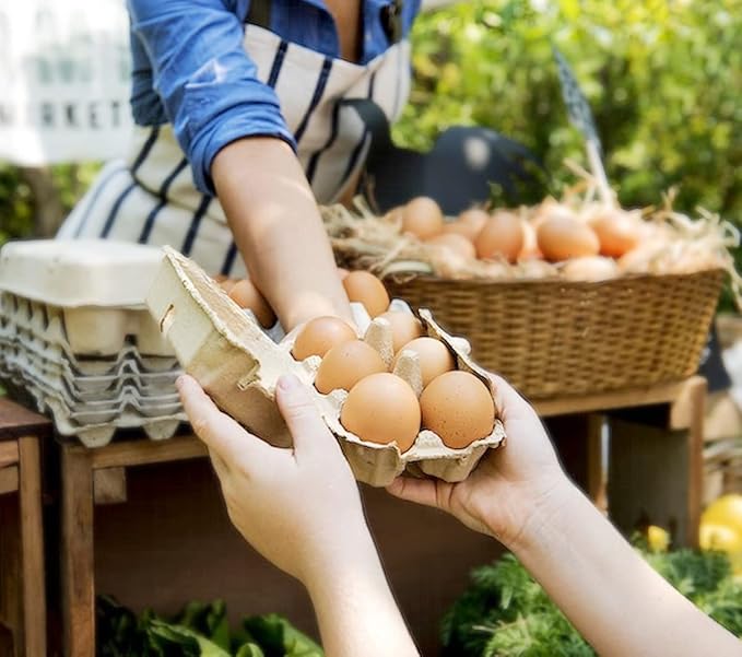 30 Pack Half Dozen Egg Cartons, Blank Natural Pulp Egg Carton Bulk 6 Count - Image 6