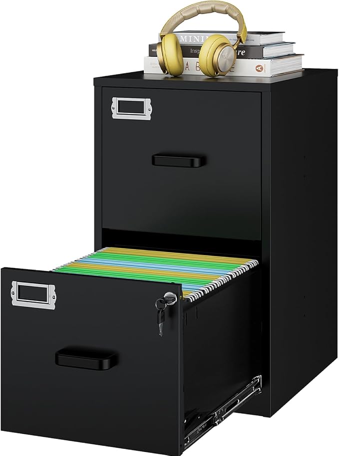 2 Drawers File Cabinet Metal Vertical Filing Cabinets Metal Lockable Storage by Fesbos
