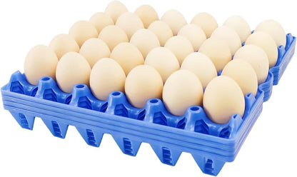 4-Pack Blue Rectangular Plastic Egg Tray, Stackable Egg Crates, 30-Egg Capacity by George+Garden