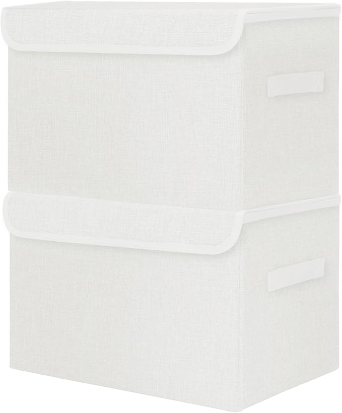 Bagnizer Large 42 Quarts Fabric Storage Bins by Bagnizer