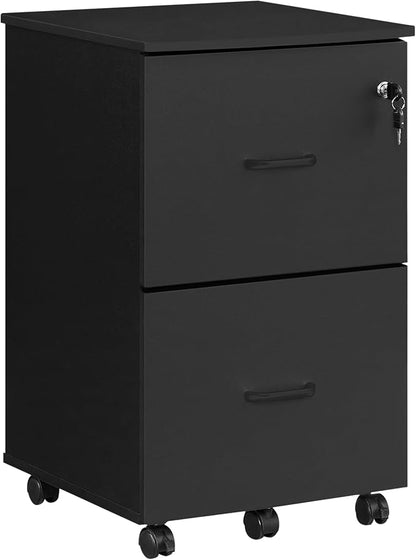 VASAGLE 2-Drawer File Cabinet, Locking Filing Cabinet by VASAGLEbySONGMICSHOME