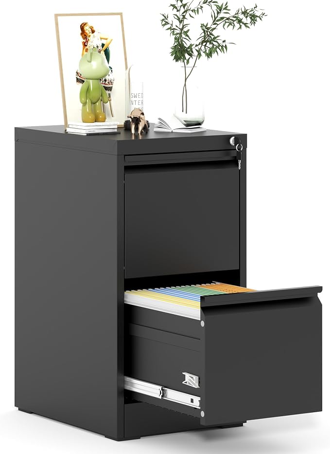 2 Drawer File Cabinet, Metal Vertical Filing Cabinet by EKJOfficials