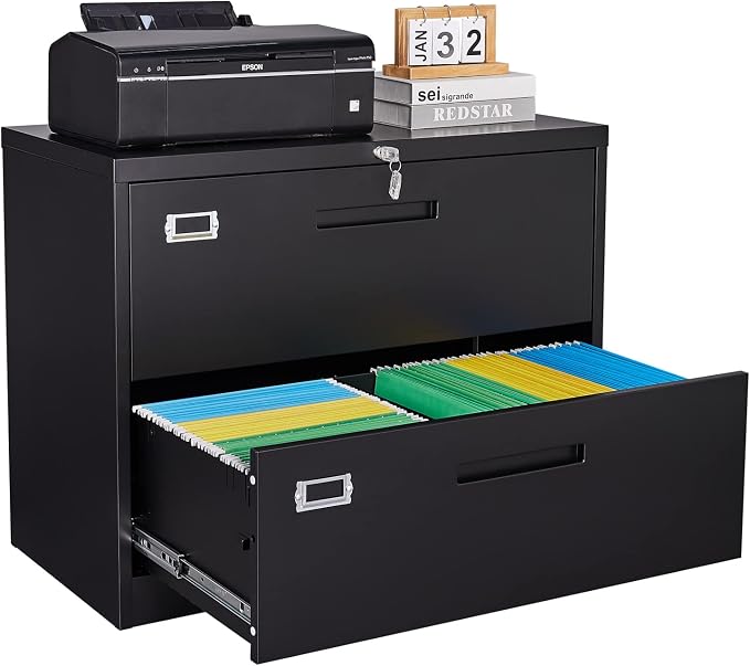 SISESOL 2 Drawer Lateral File Cabinet by SISESOL