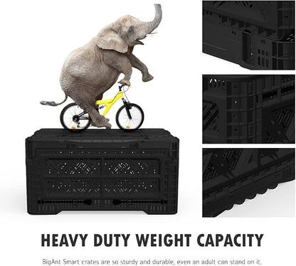 Bigant Heavy Duty Collapsible & Stackable Plastic Milk Crate - Image 4