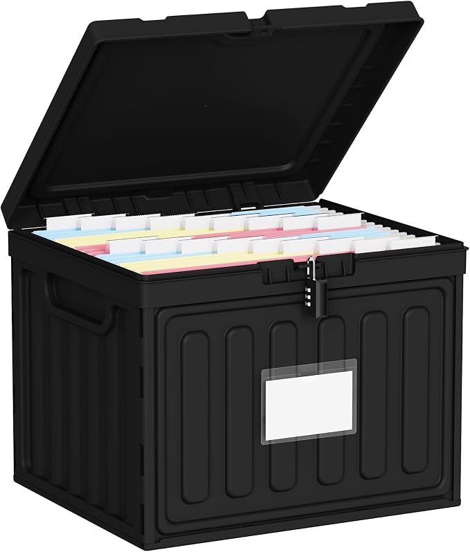 Oterri Plastic File Box with Lid by Oterri