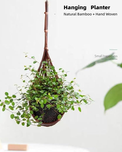 3 Pcs Hanging Orchid Planter: 4 Inch Handmade Bamboo Wall Plant Pot - Image 2