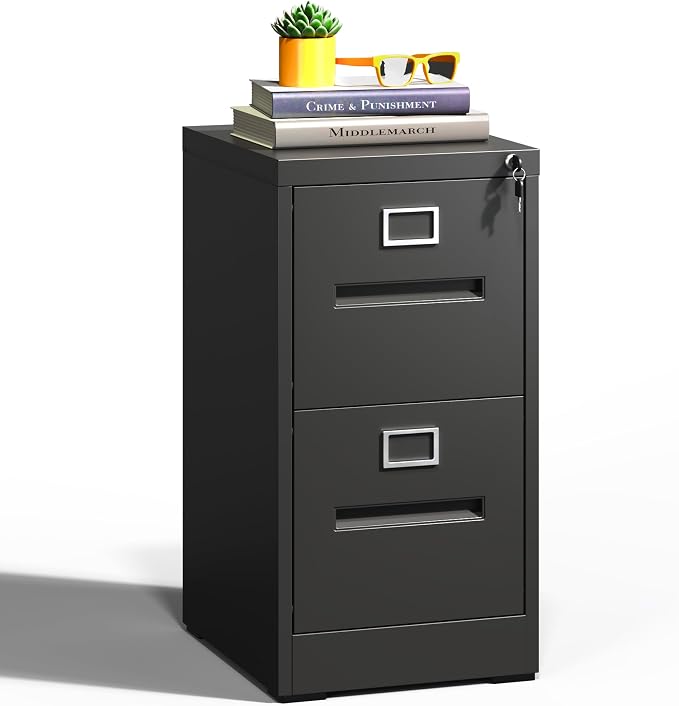 2 Drawer File Cabinets with Lock, Heavy Duty Metal Storage Cabinets Office by FLIXELIO