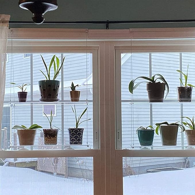 SHUANGSHI Storage Shelves, Transpaent Acrylic Window Plant Shelves 2/3 Layers - Image 5