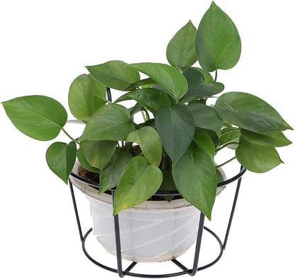 4 Pack Hanging Planters for Railings Rail Planter Hanging Baskets Flower Pot - Image 9
