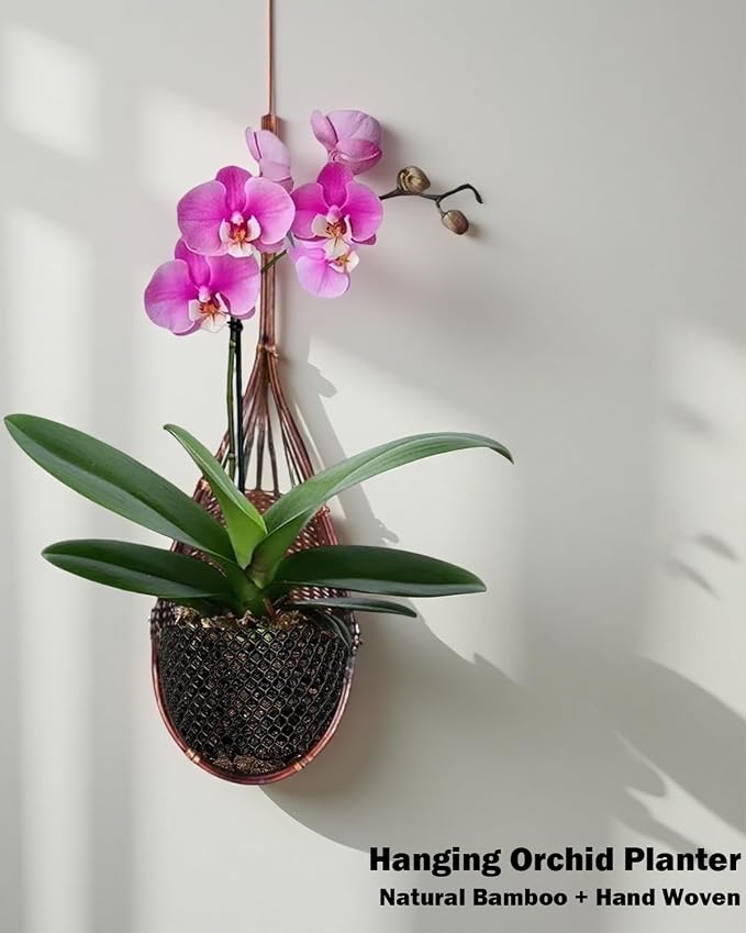 Hanging Orchid Planter: 4 Inch Handmade Bamboo Flower Basket -5Pcs | Wall Plant - Image 2