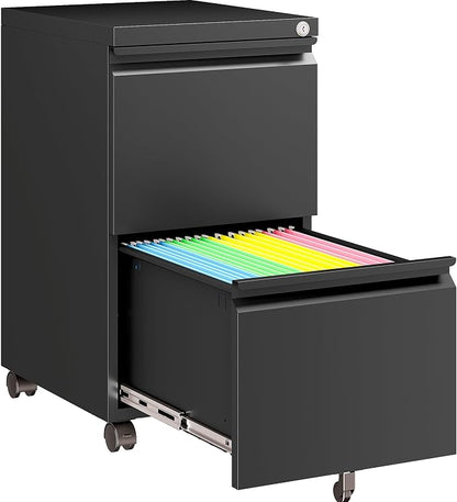 SISESOL Assembled 2 Drawer File Cabinet on Wheels, Metal Filing Cabinet by SISESOL