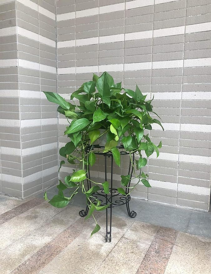 TREEZITEK 11.8 inches Diameter Tall Metal Plant Stand - Image 6