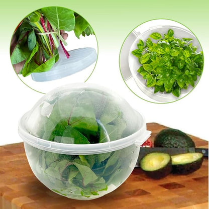 Trenton Gifts Lettuce And Vegatable Storage Keeper | 7" X 8" - Image 7