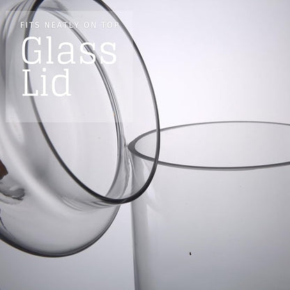 Set of 3 Glass Apothecary Jars - Image 5
