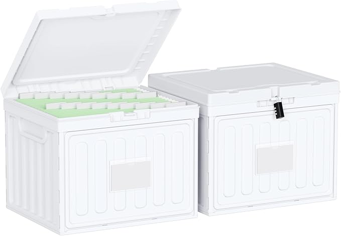 Oterri Plastic File Box with Lid by Oterri